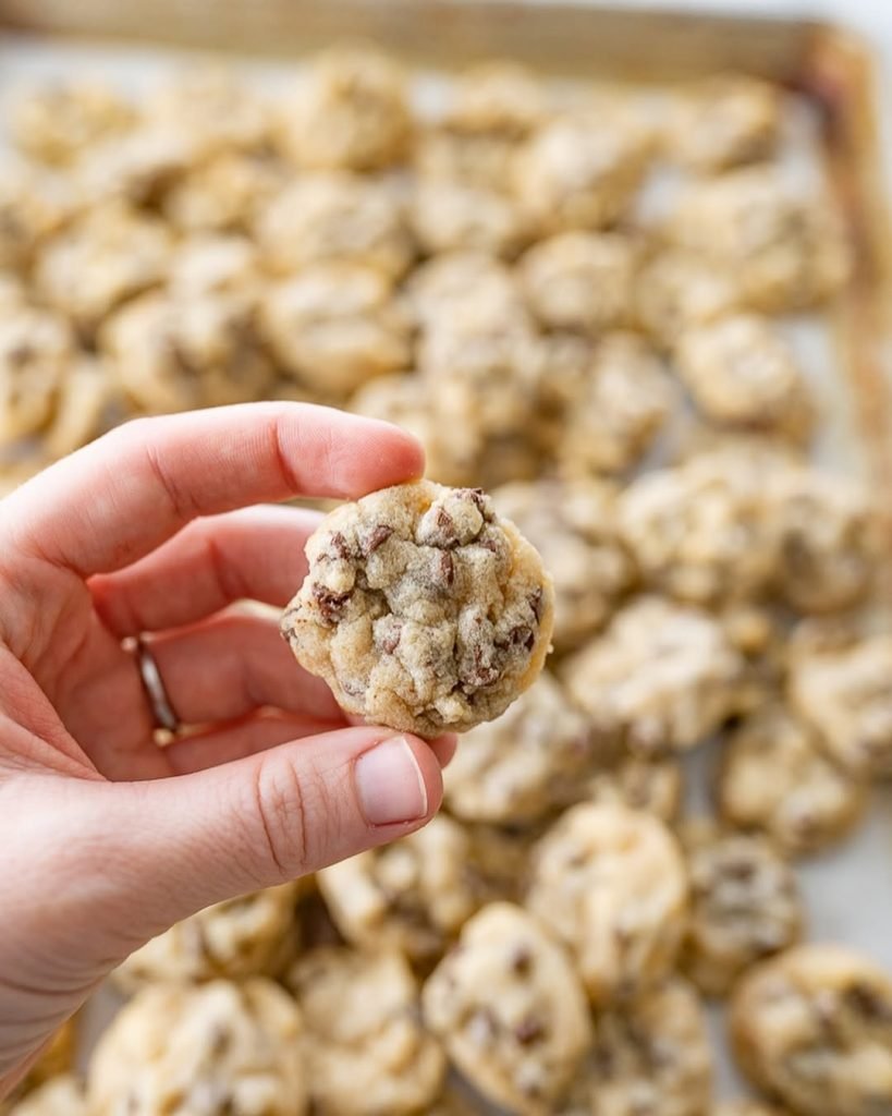 Mini Chocolate Chip Cookies Recipe